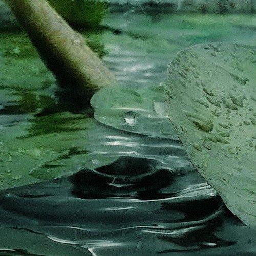Dancing Drop..