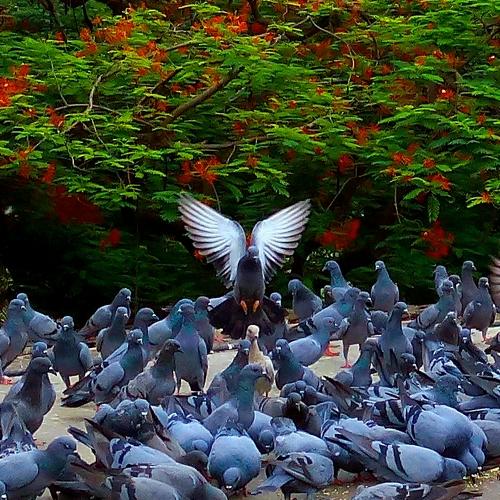 Beautiful landing..