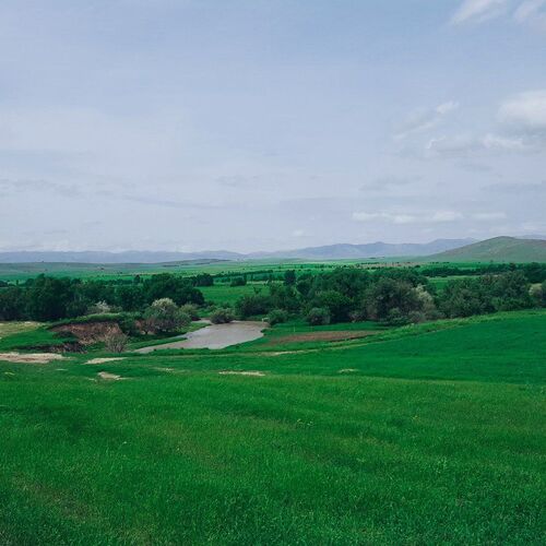 Photo #1654650
