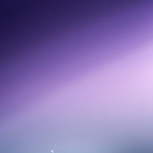 Photo #1655665