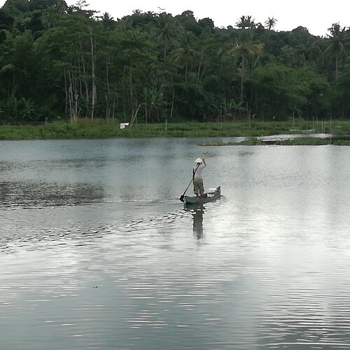 mencari ikan