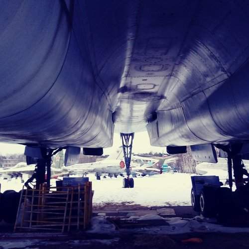 Под брюшком у Тушки