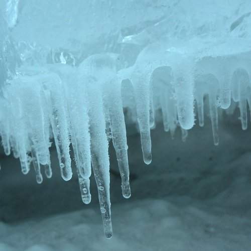 Photo #1658083