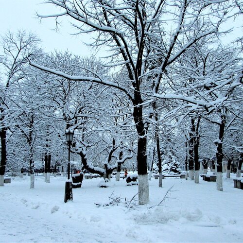 Winter