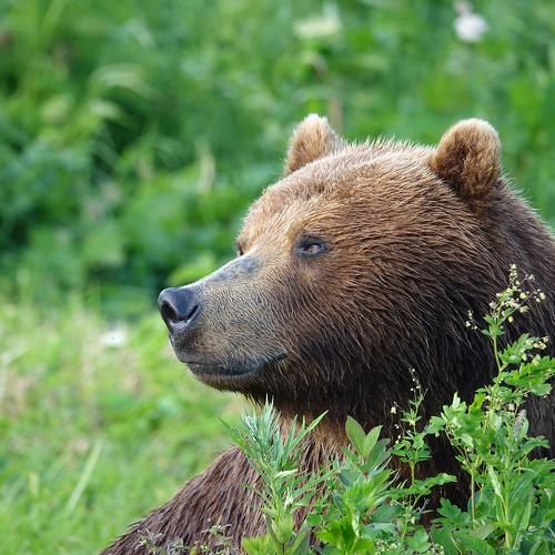 Загадочная улыбка Джоконды