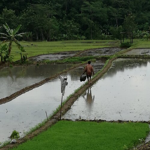 kerja