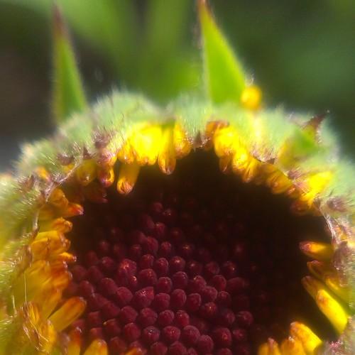 Photo #1661127