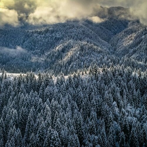 Winter in Svaneti