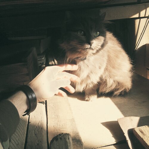 Находка