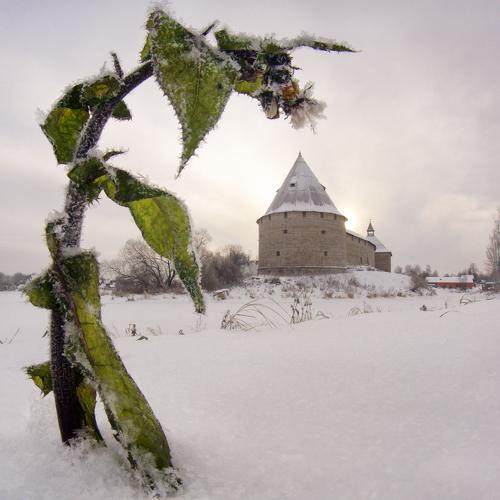 Первый снег