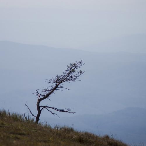Photo #1663111