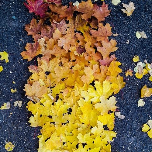 Photo #1663398