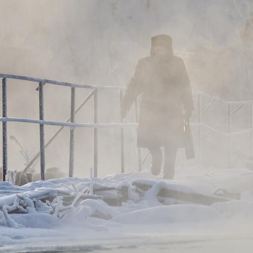 Photo #1663454