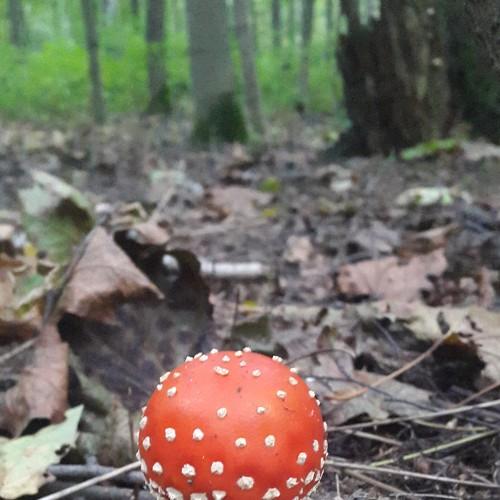 Одиночество