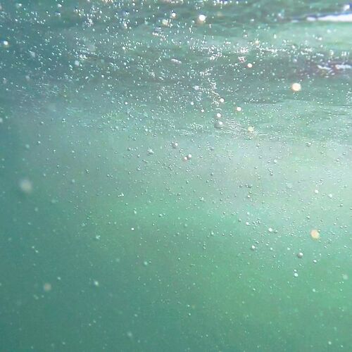 Photo #1664947