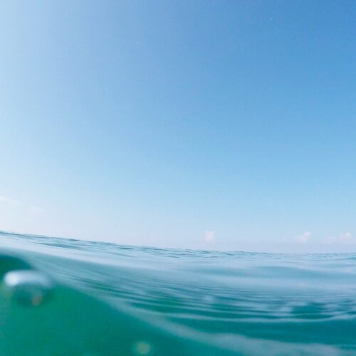 Photo #1665074