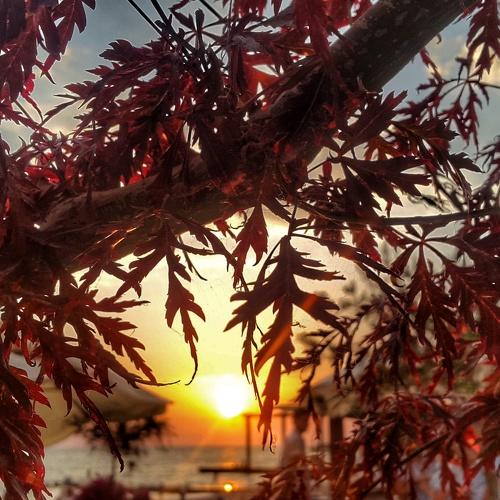 Photo #1665704