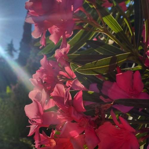 Photo #1668306