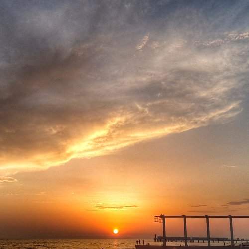 Photo #1668312