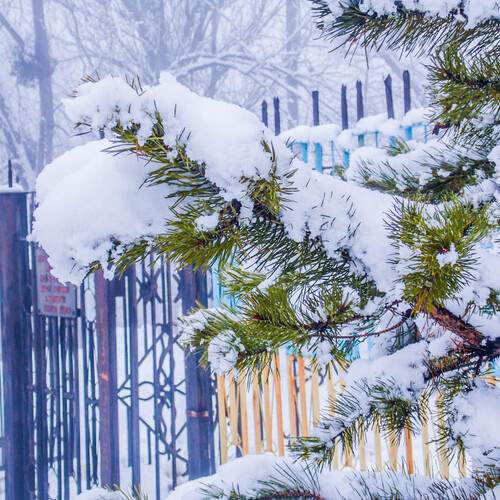 Photo #1669046