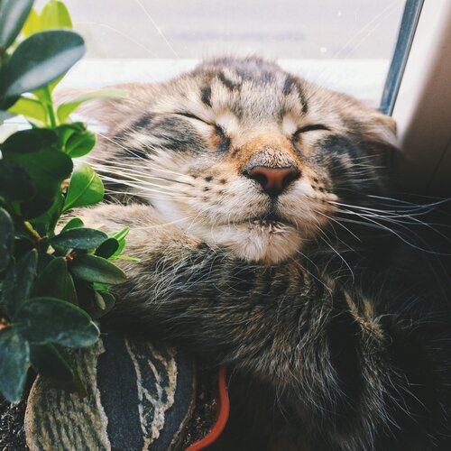 так выглядит беззаботность