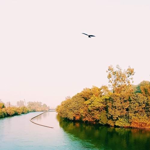 COLOUR PLAY
