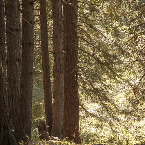 Photo #1672214