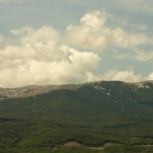 Photo #1672224