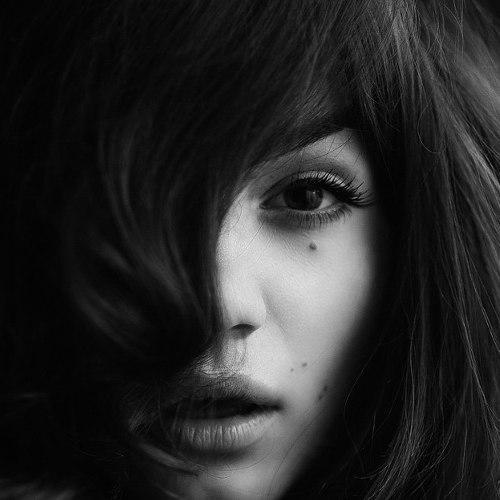 Photo #1672687