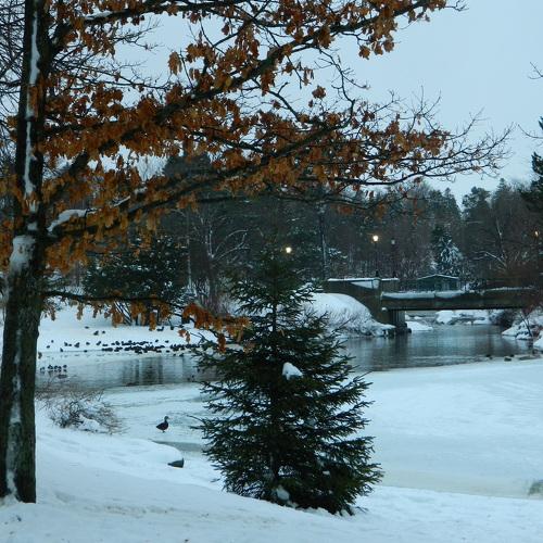 Tranquility  At The Park