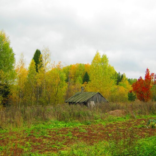 Буйство красок