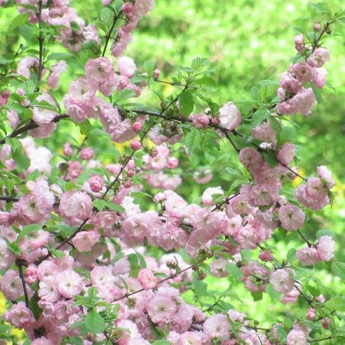 Photo #1674220