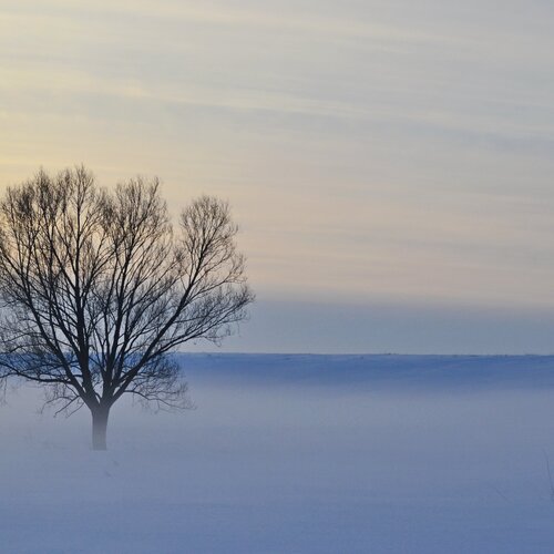 Photo #1674687
