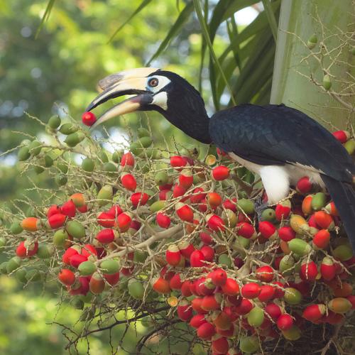 Самая вкусная