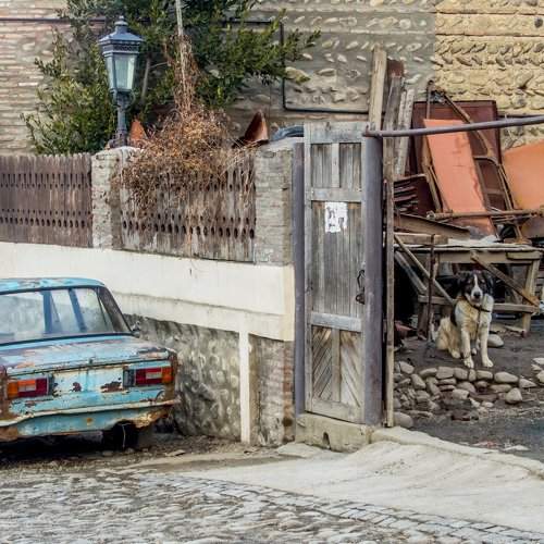 Собачья жизнь...