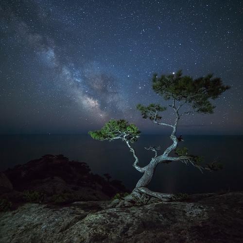 Picos Kosmos Milky Way Tree