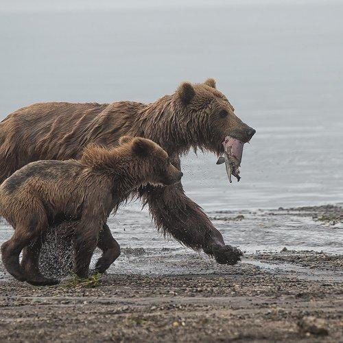 На завтрак