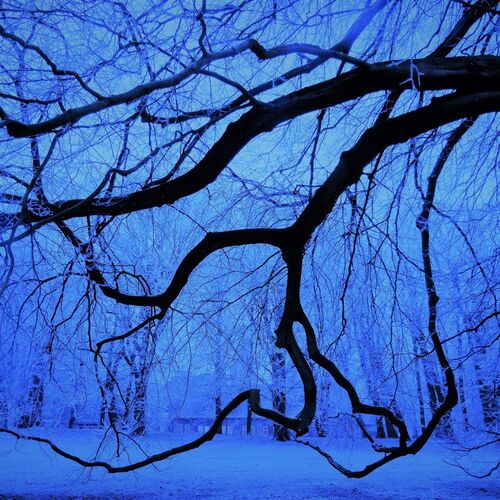 Winter Fairy Tale