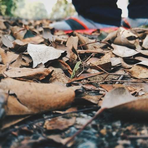Arrival of autumn
