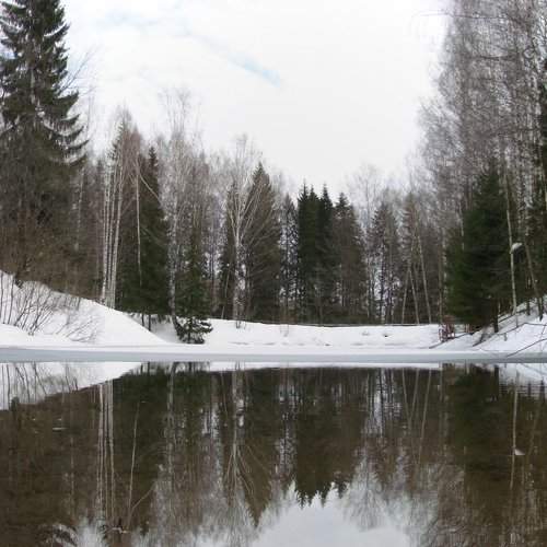 Весенний пруд