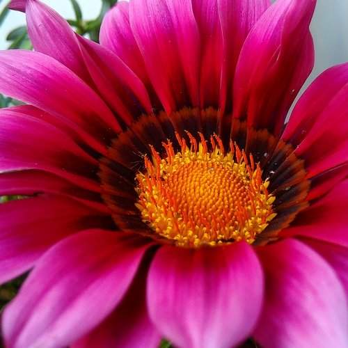 Mi photography