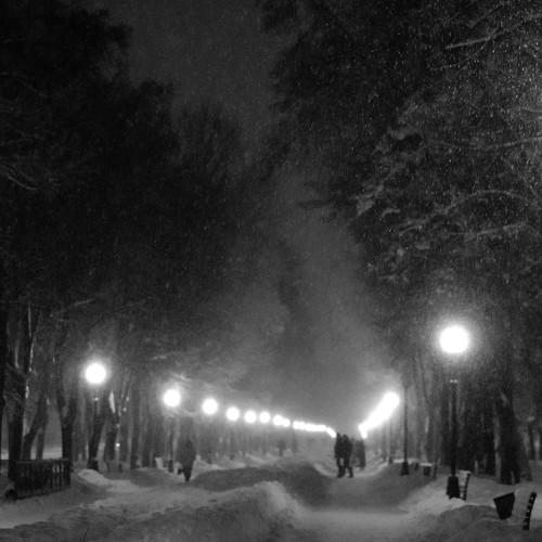 Photo #1686922