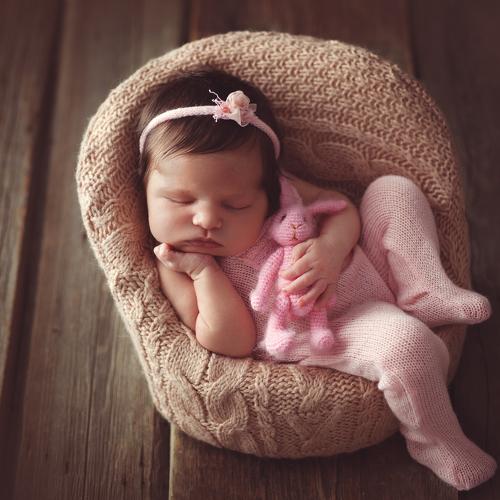 Photo #1688603
