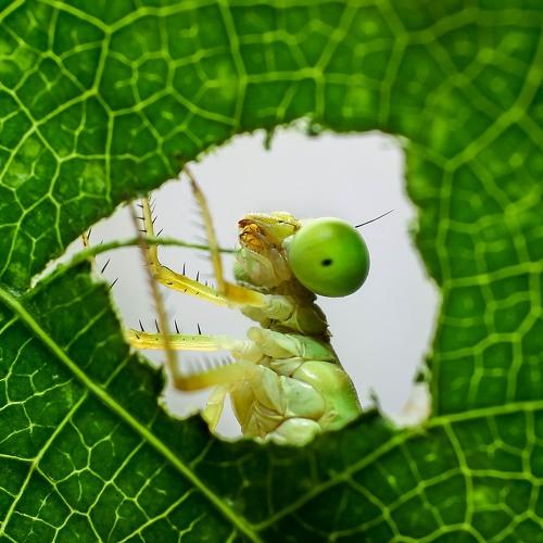 Hide and Seek