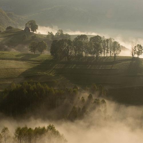 Photo #1689267