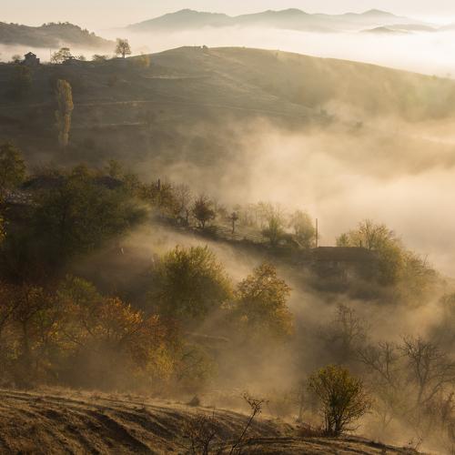 Foggy sunrise