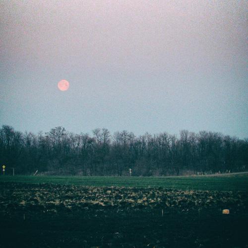 Early morning