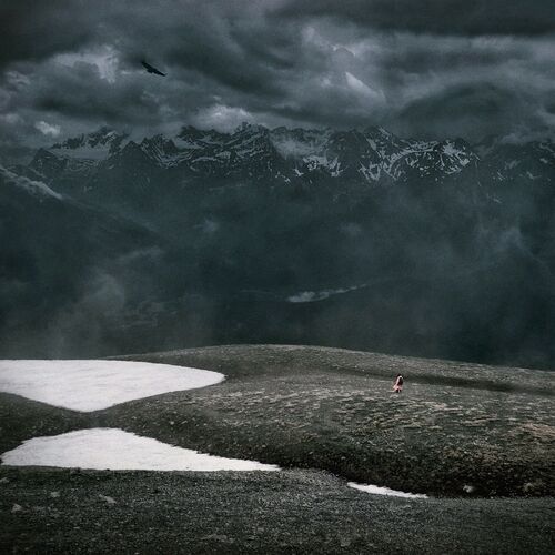 Wild Highlands