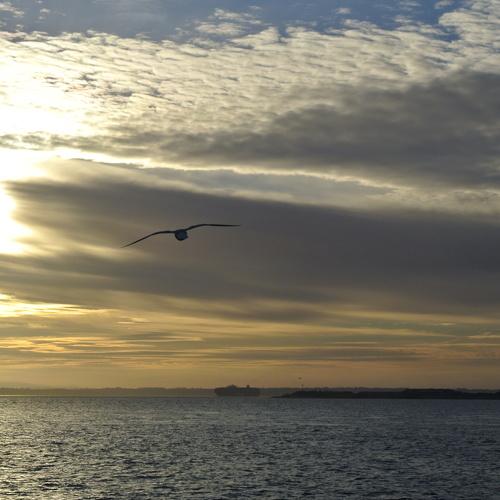 Fascinating sunset