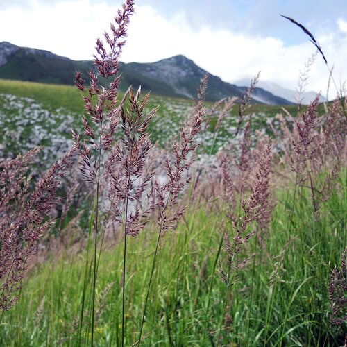 Photo #1697399